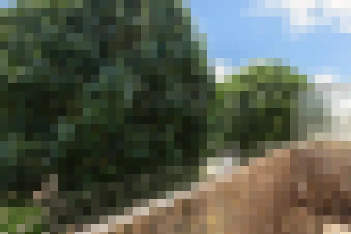 Vegelinsoord 72 Rotterdam thumbnail 14