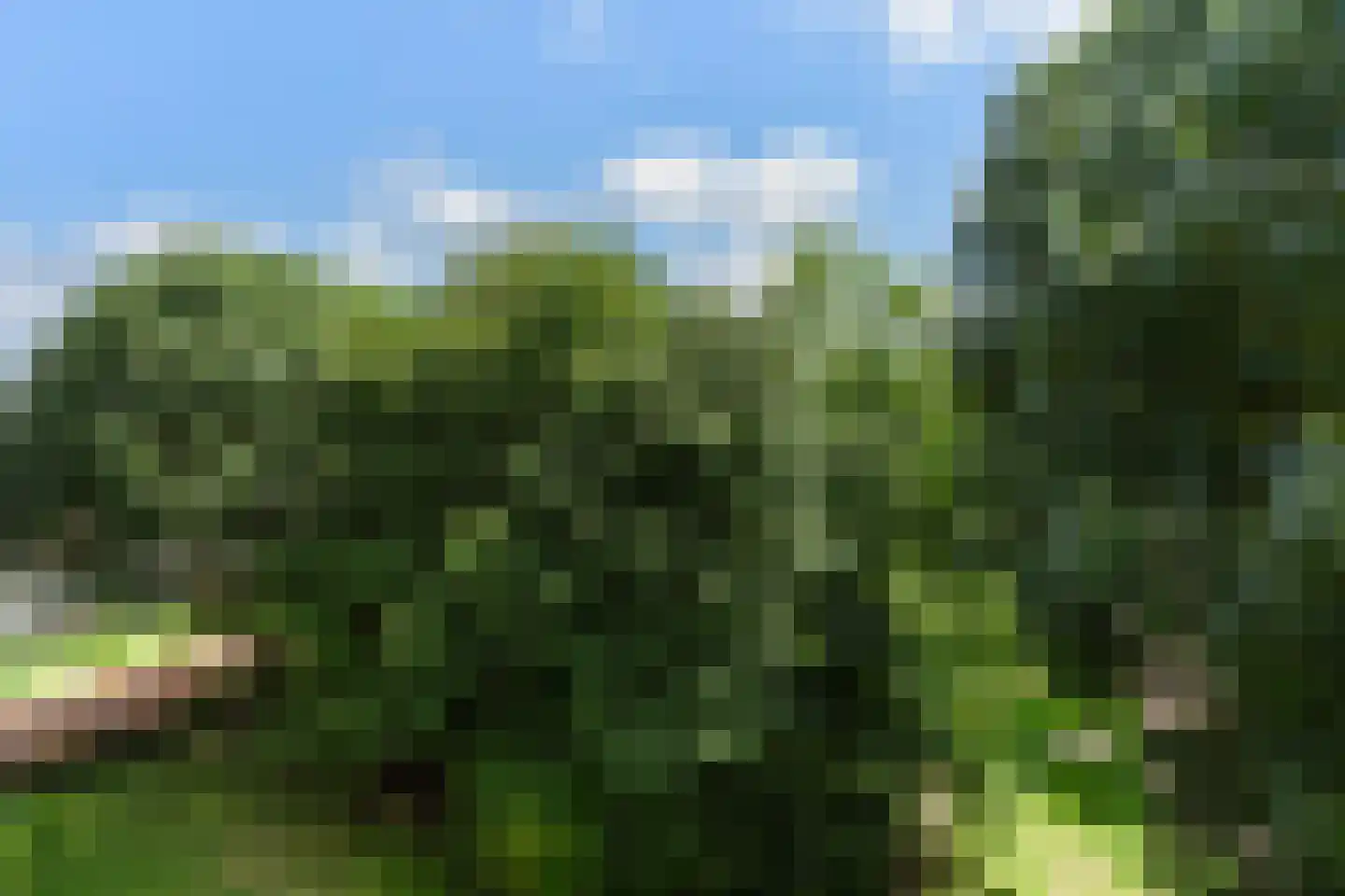 Vegelinsoord 72 Rotterdam thumbnail 15