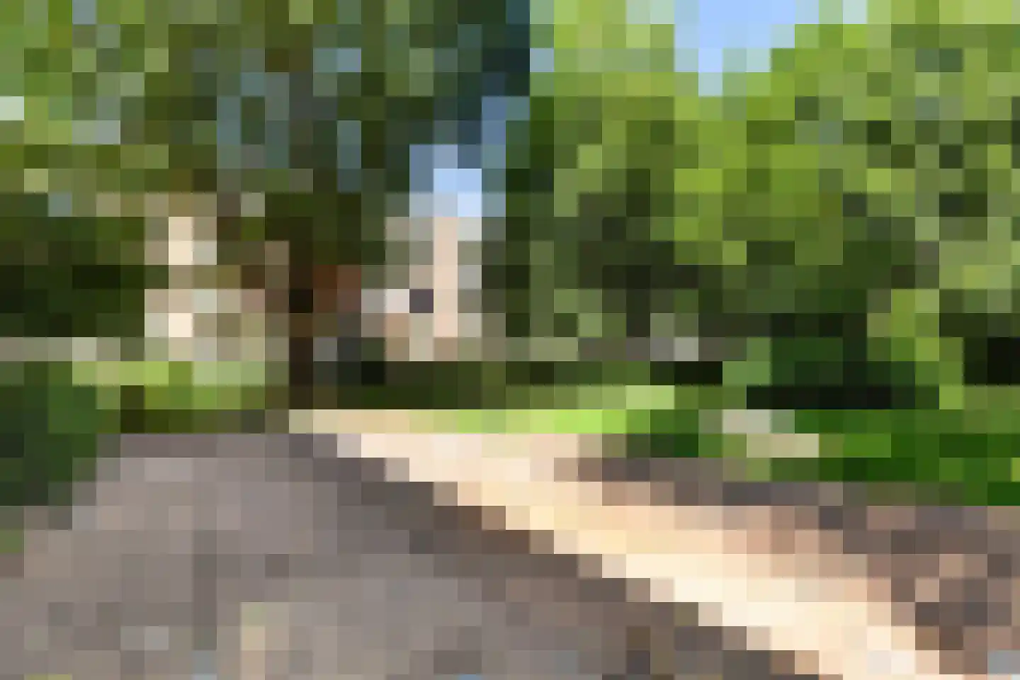 Vegelinsoord 72 Rotterdam thumbnail 23