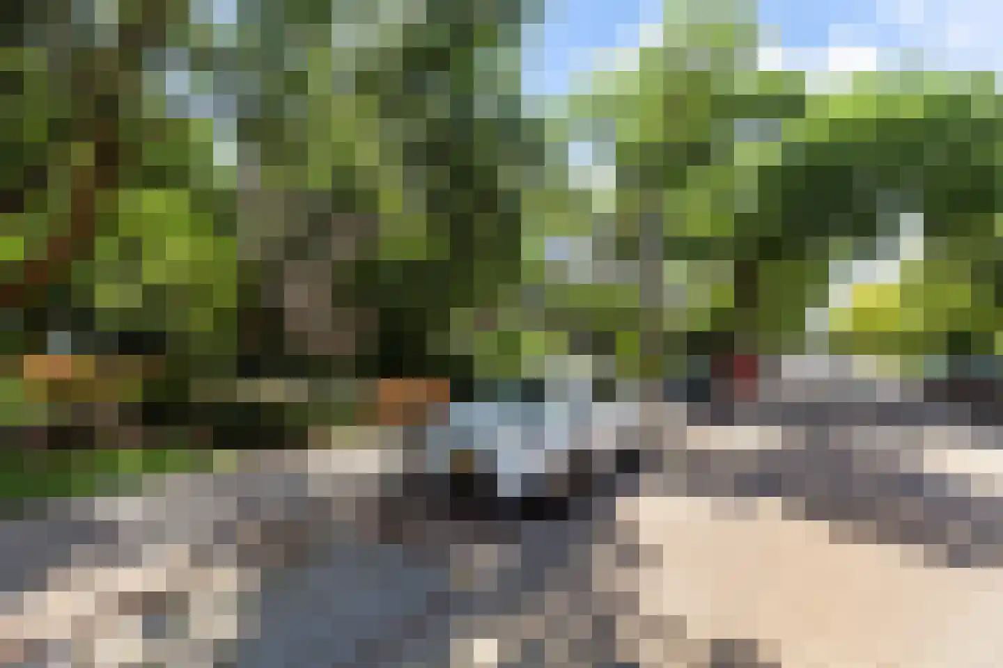 Vegelinsoord 72 Rotterdam thumbnail 25