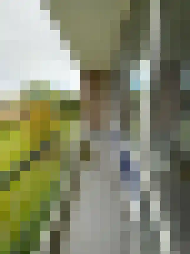 Vegelinsoord 75 Rotterdam thumbnail 6