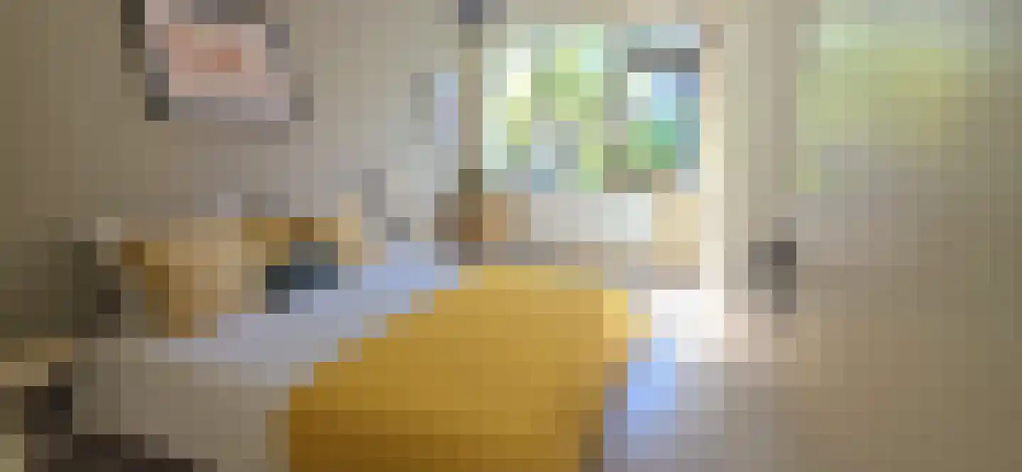 Vegelinsoord 84 Rotterdam thumbnail 20