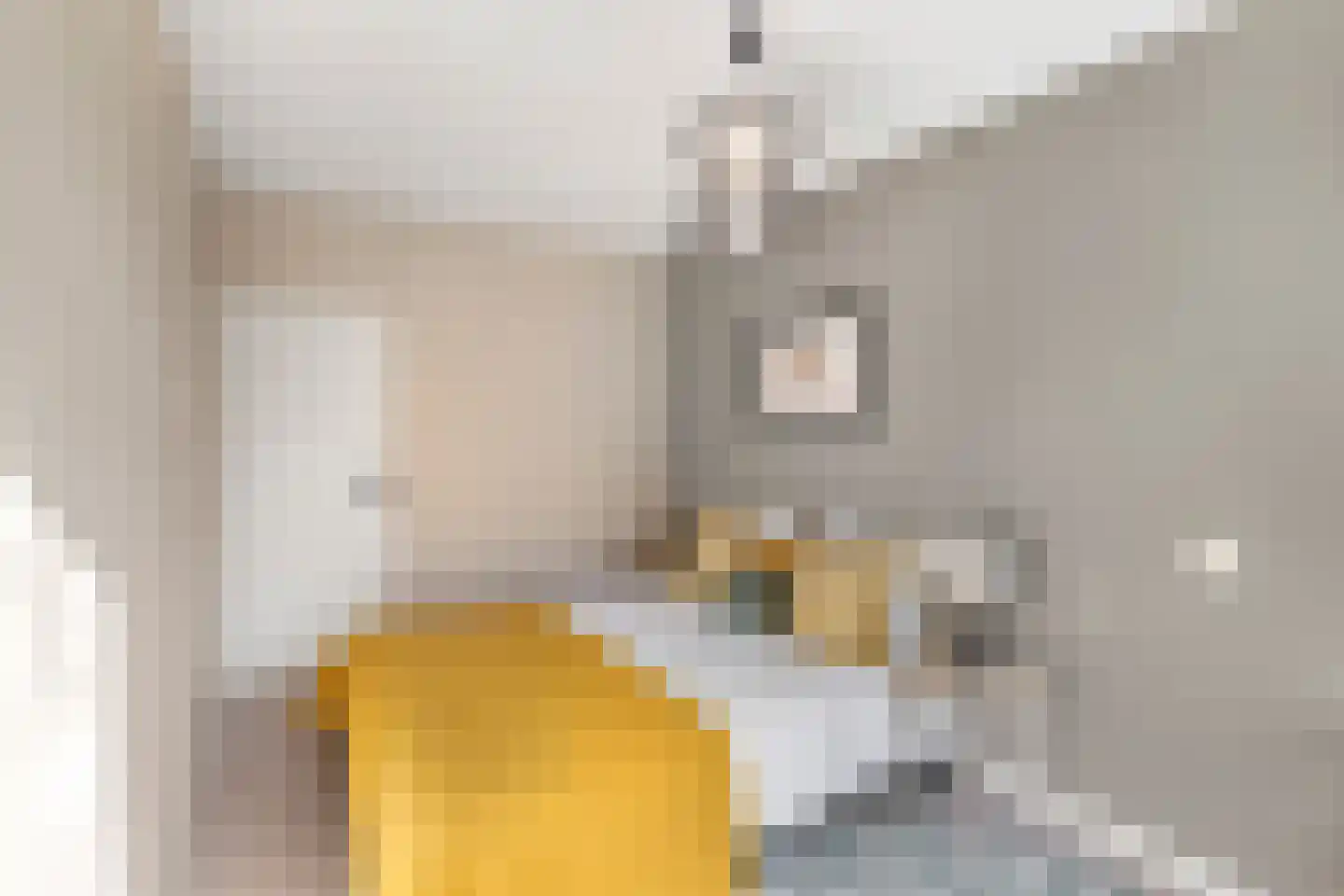Vegelinsoord 84 Rotterdam thumbnail 21