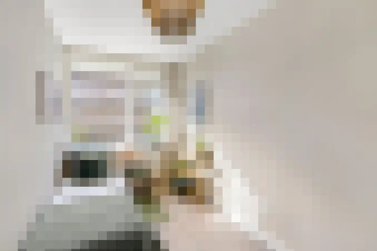 Vegelinsoord 84 Rotterdam thumbnail 24