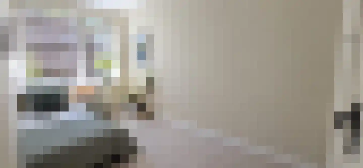 Vegelinsoord 84 Rotterdam thumbnail 25