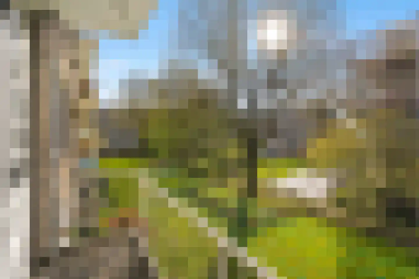 Vegelinsoord 84 Rotterdam thumbnail 27