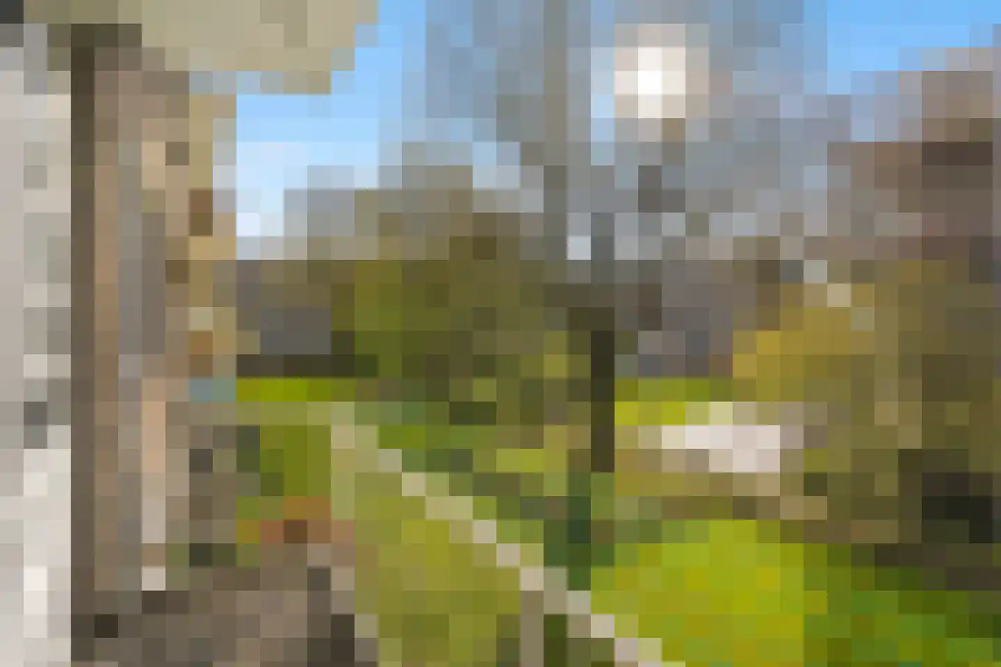 Vegelinsoord 84 Rotterdam thumbnail 27