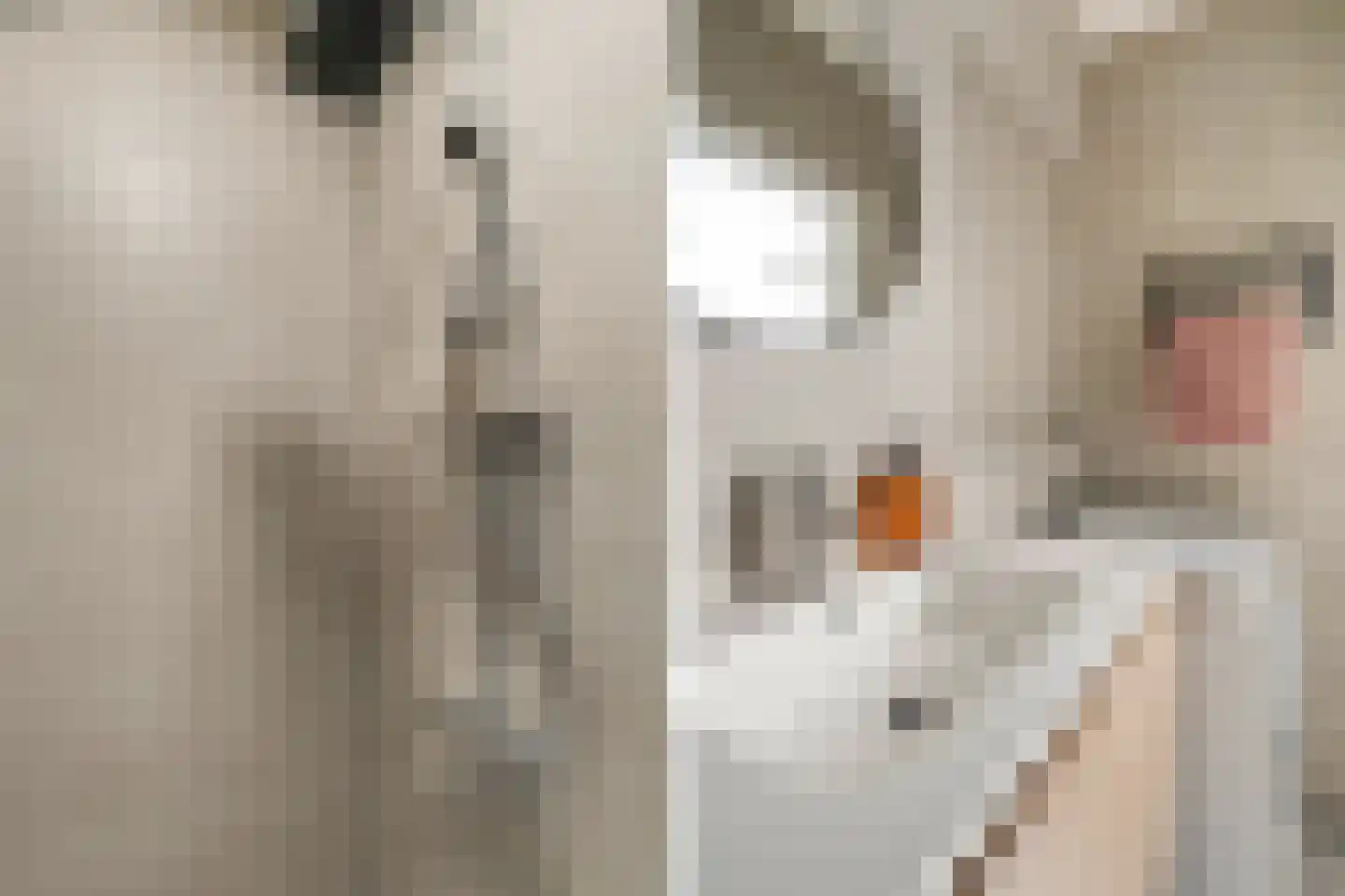 Vegelinsoord 96 Rotterdam thumbnail 30