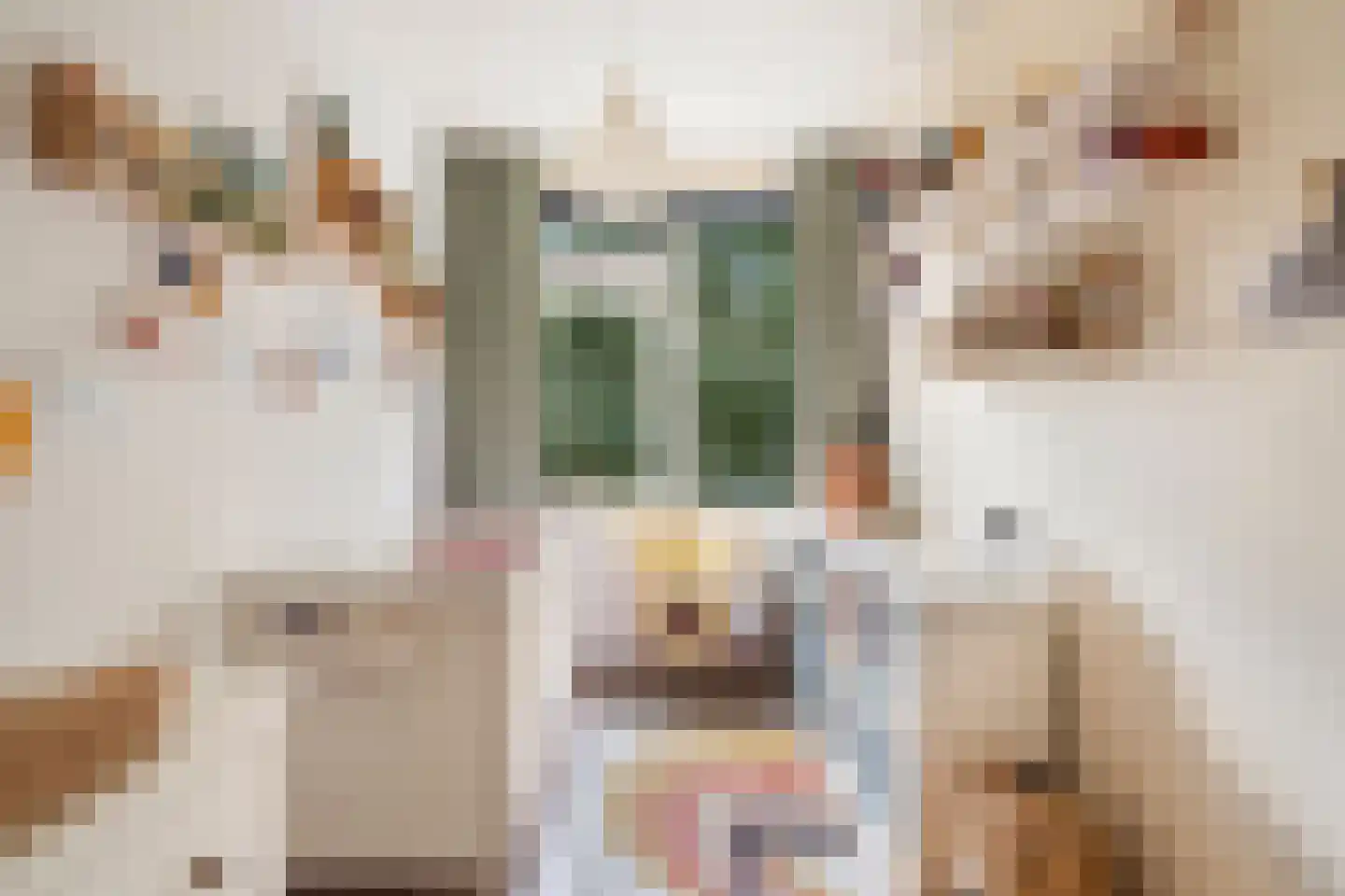 Vegelinsoord 96 Rotterdam thumbnail 33