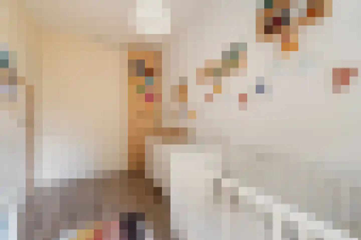 Vegelinsoord 96 Rotterdam thumbnail 34