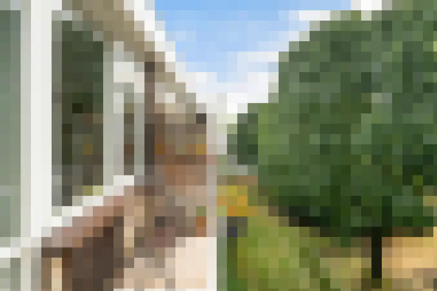 Vegelinsoord 96 Rotterdam thumbnail 38