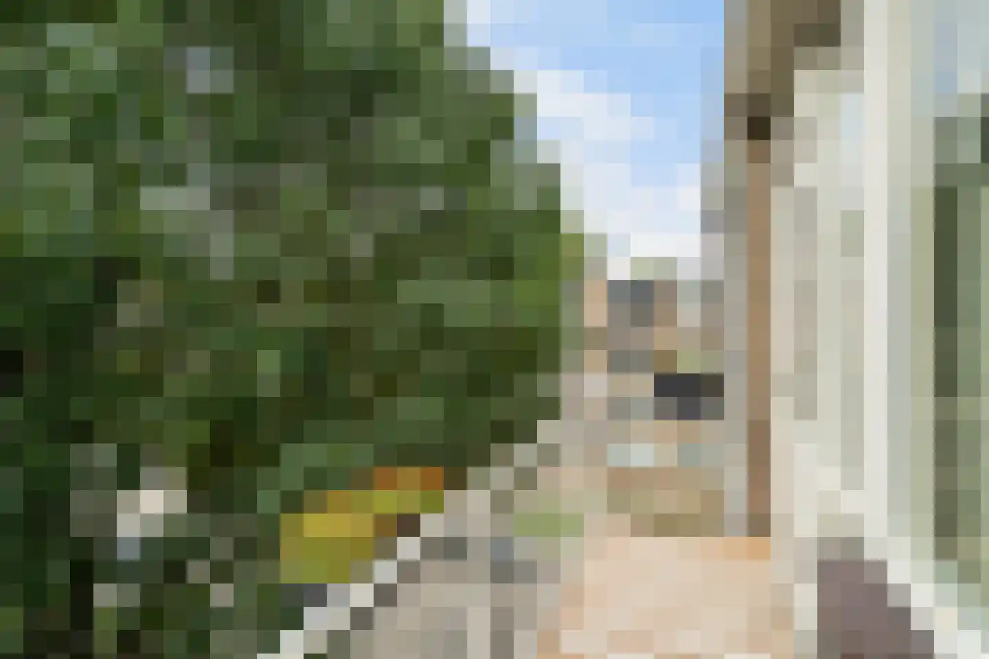 Vegelinsoord 96 Rotterdam thumbnail 39