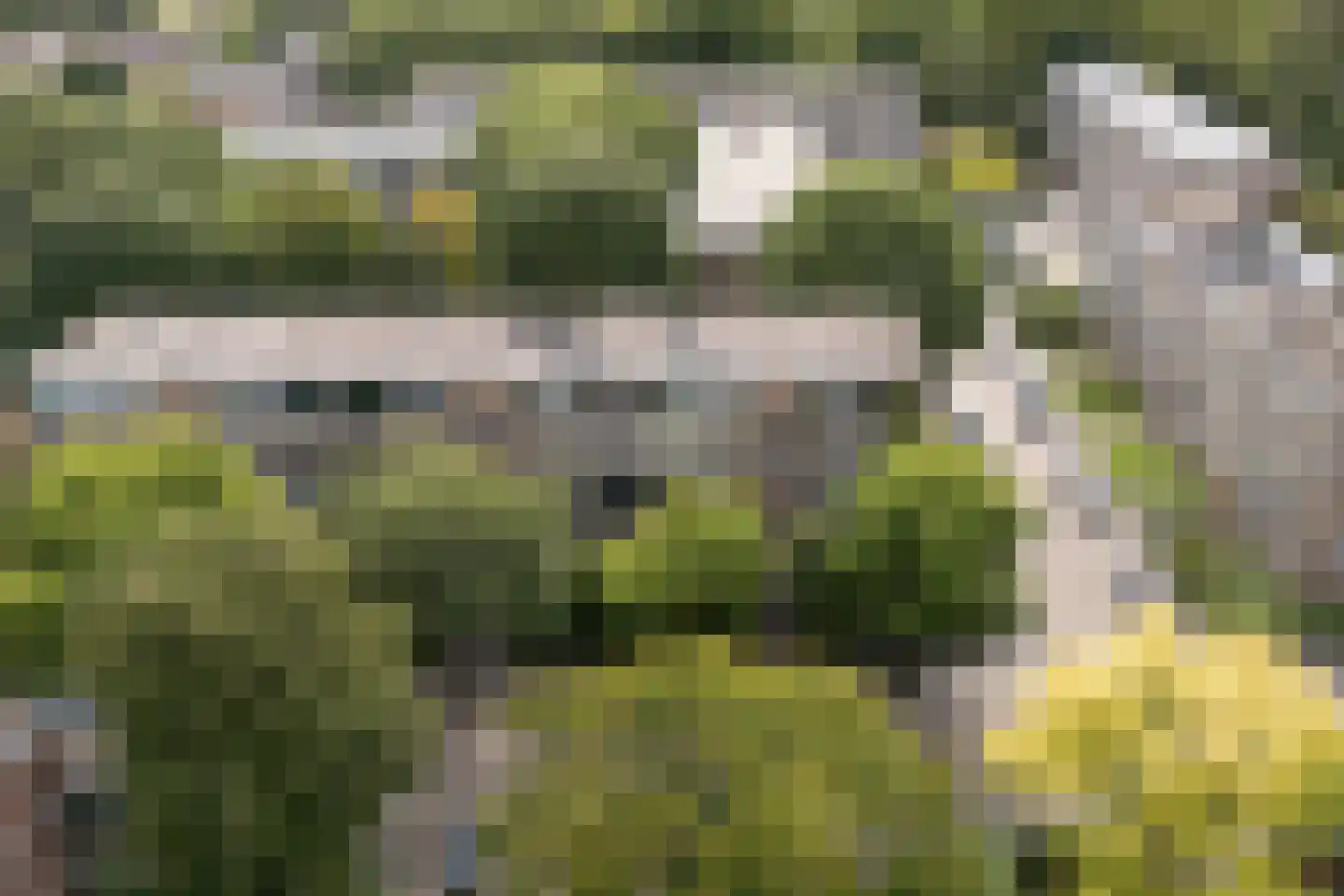 Vegelinsoord 96 Rotterdam thumbnail 41