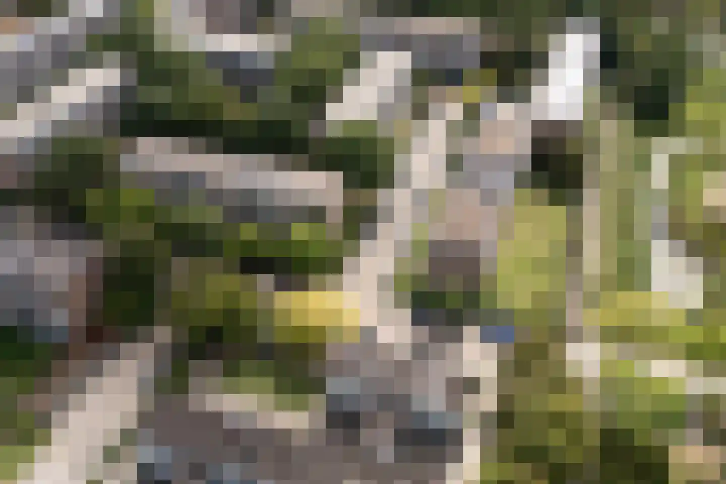 Vegelinsoord 96 Rotterdam thumbnail 45