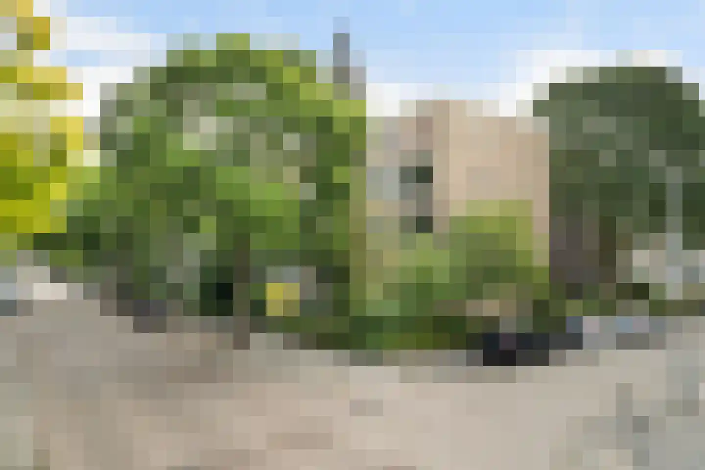 Vegelinsoord 96 Rotterdam thumbnail 46