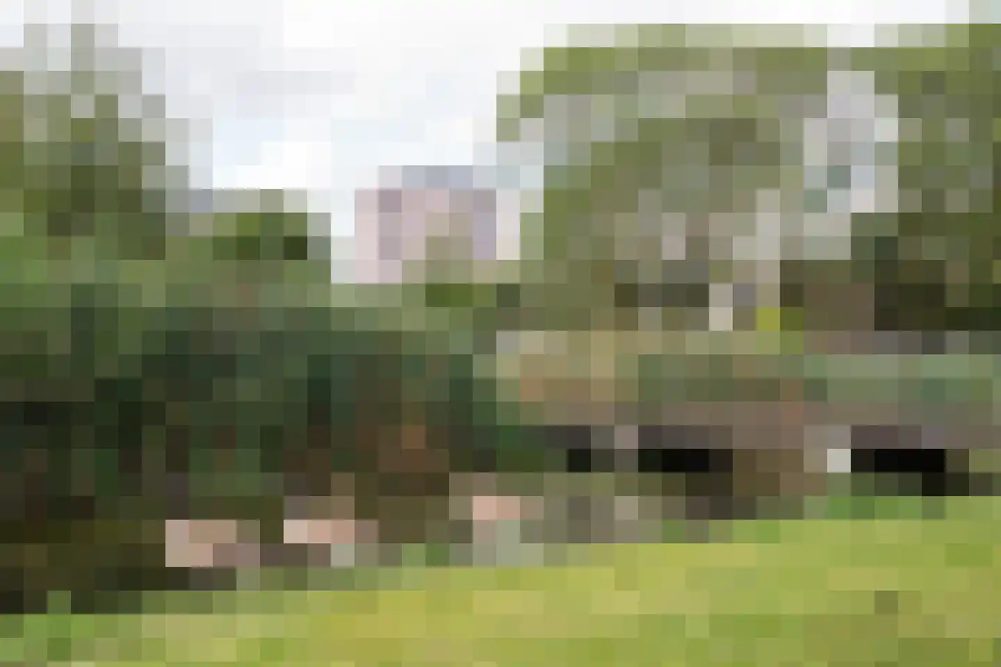 Vegelinsoord 96 Rotterdam thumbnail 50