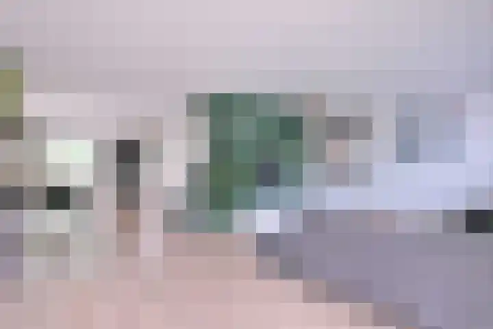 Vegerinkskamp 38 A Bathmen thumbnail 10