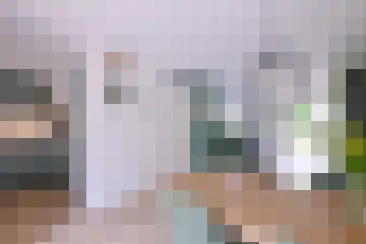 Vegerinkskamp 38 A Bathmen thumbnail 17