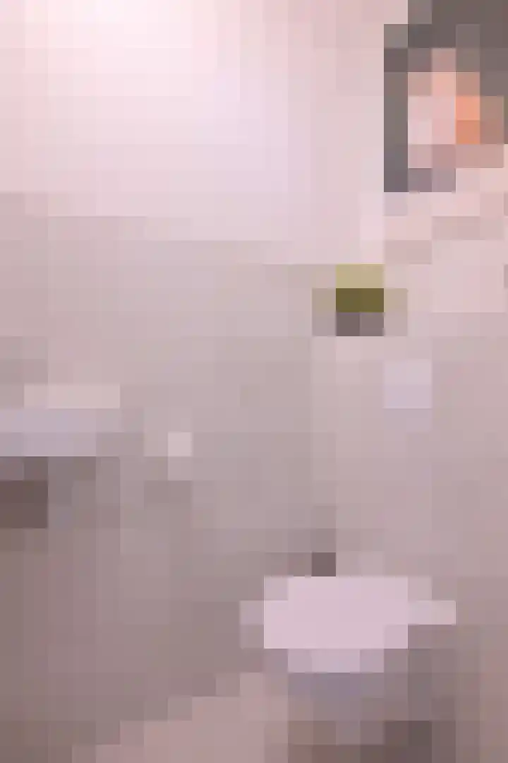 Vegerinkskamp 38 A Bathmen thumbnail 18