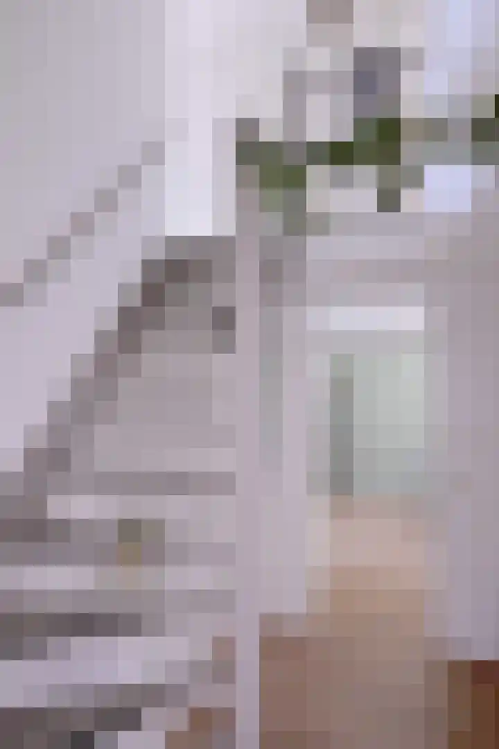 Vegerinkskamp 38 A Bathmen thumbnail 19