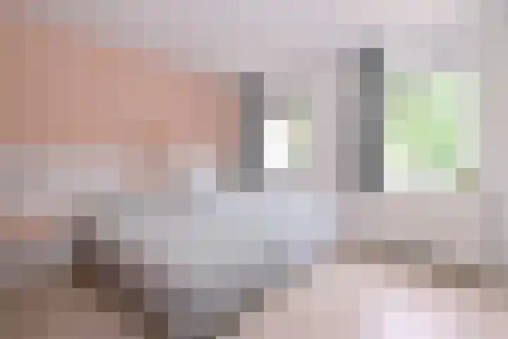 Vegerinkskamp 38 A Bathmen thumbnail 22