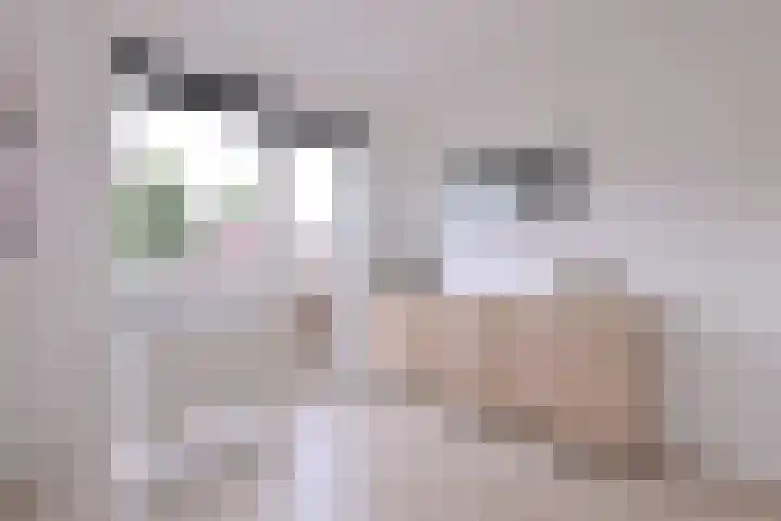 Vegerinkskamp 38 A Bathmen thumbnail 29