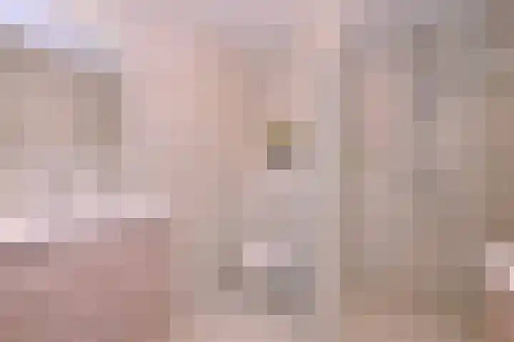 Vegerinkskamp 38 A Bathmen thumbnail 31