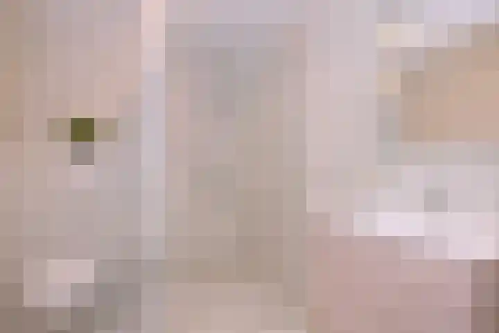 Vegerinkskamp 38 A Bathmen thumbnail 32