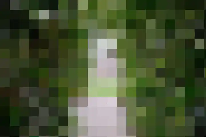 Vegerinkskamp 38 A Bathmen thumbnail 38