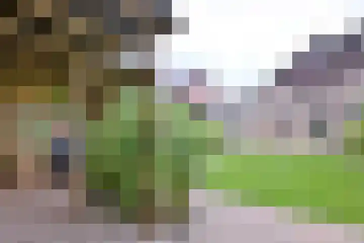 Vegerinkskamp 38 A Bathmen thumbnail 39