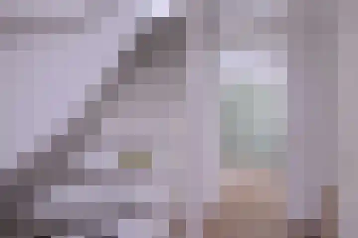 Vegerinkskamp 38 A Bathmen thumbnail 4