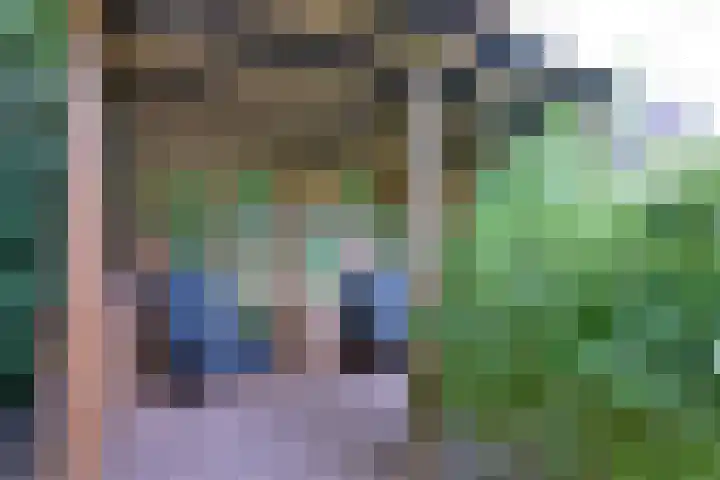 Vegerinkskamp 38 A Bathmen thumbnail 40