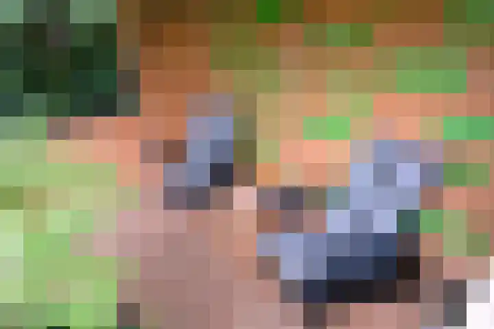 Vegerinkskamp 38 A Bathmen thumbnail 41