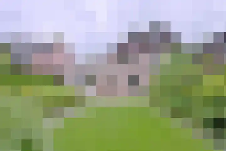 Vegerinkskamp 38 A Bathmen thumbnail 43