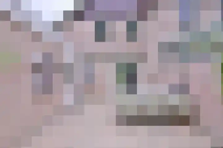 Vegerinkskamp 38 A Bathmen thumbnail 44