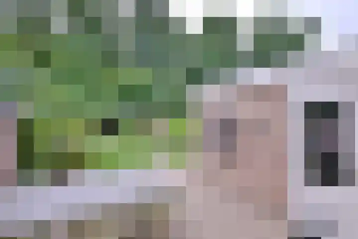Vegerinkskamp 38 A Bathmen thumbnail 45