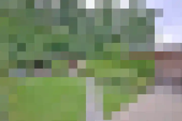 Vegerinkskamp 38 A Bathmen thumbnail 46