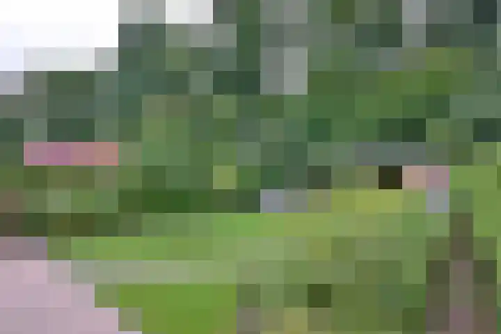 Vegerinkskamp 38 A Bathmen thumbnail 47