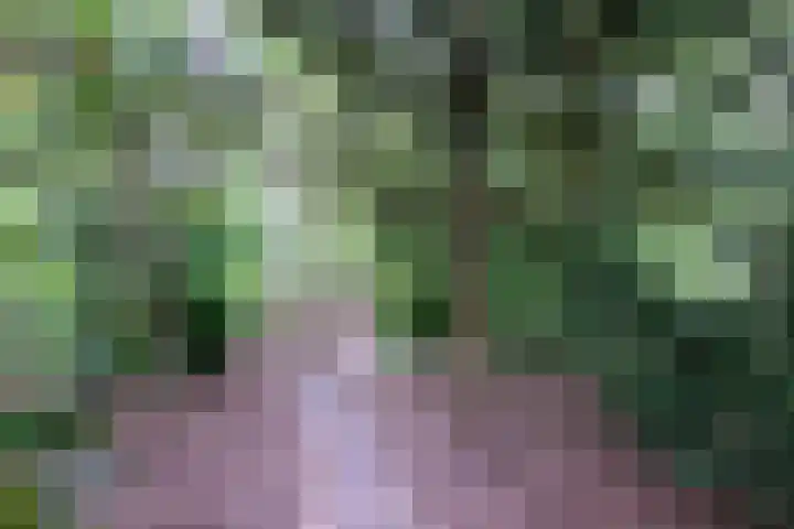 Vegerinkskamp 38 A Bathmen thumbnail 49