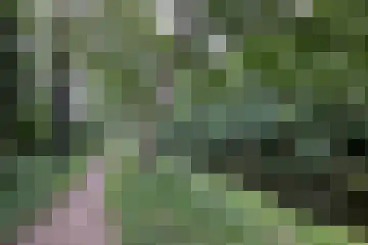 Vegerinkskamp 38 A Bathmen thumbnail 50