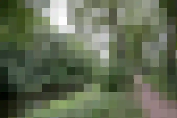 Vegerinkskamp 38 A Bathmen thumbnail 51