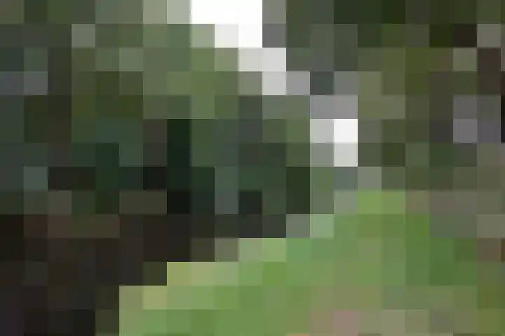 Vegerinkskamp 38 A Bathmen thumbnail 52