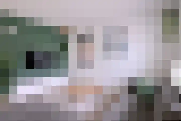 Vegerinkskamp 38 A Bathmen thumbnail 6