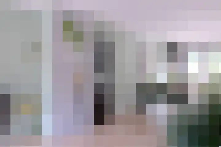 Vegerinkskamp 38 A Bathmen thumbnail 9