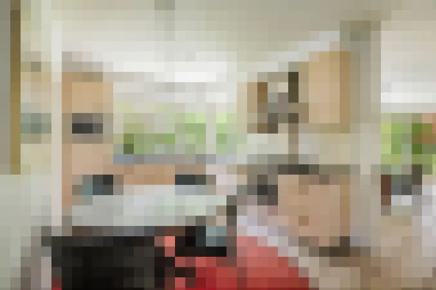 Vegerinkskamp 44 Bathmen thumbnail 11