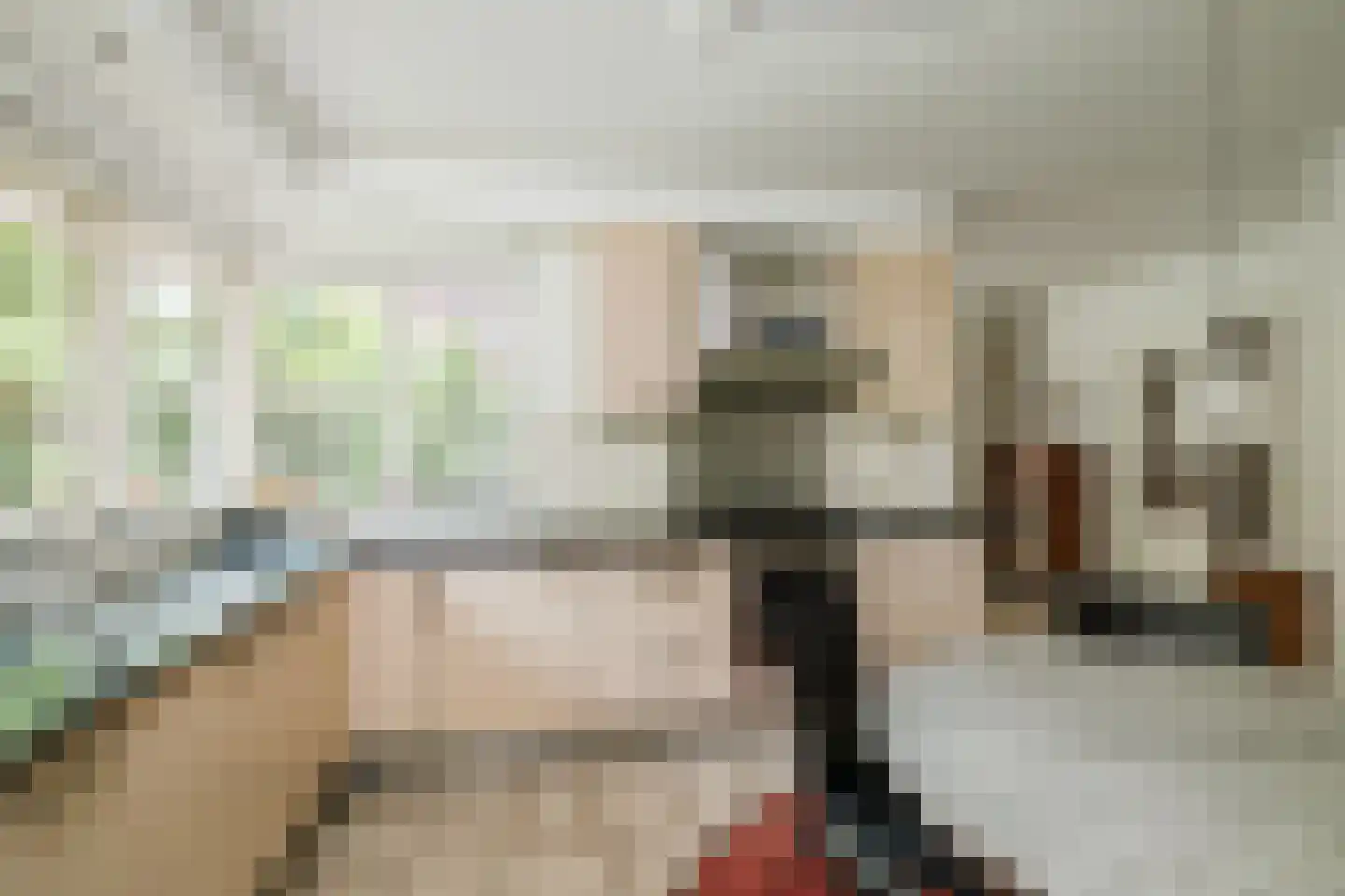 Vegerinkskamp 44 Bathmen thumbnail 12