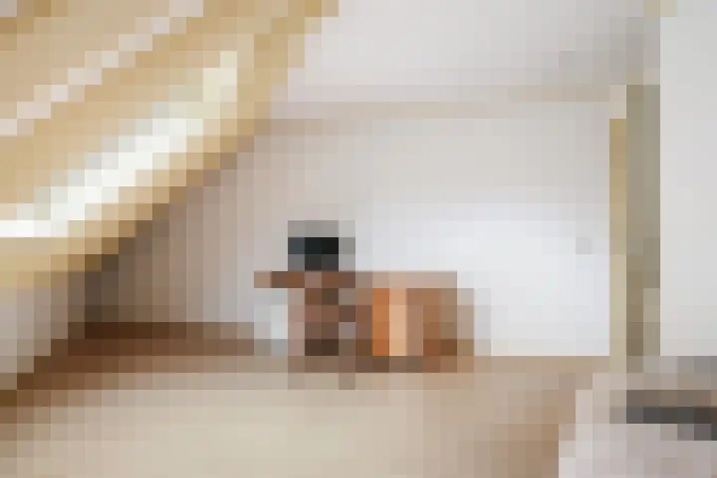 Vegerinkskamp 44 Bathmen thumbnail 25