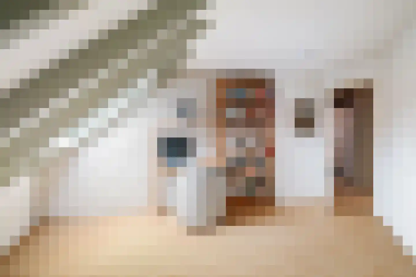 Vegerinkskamp 44 Bathmen thumbnail 27