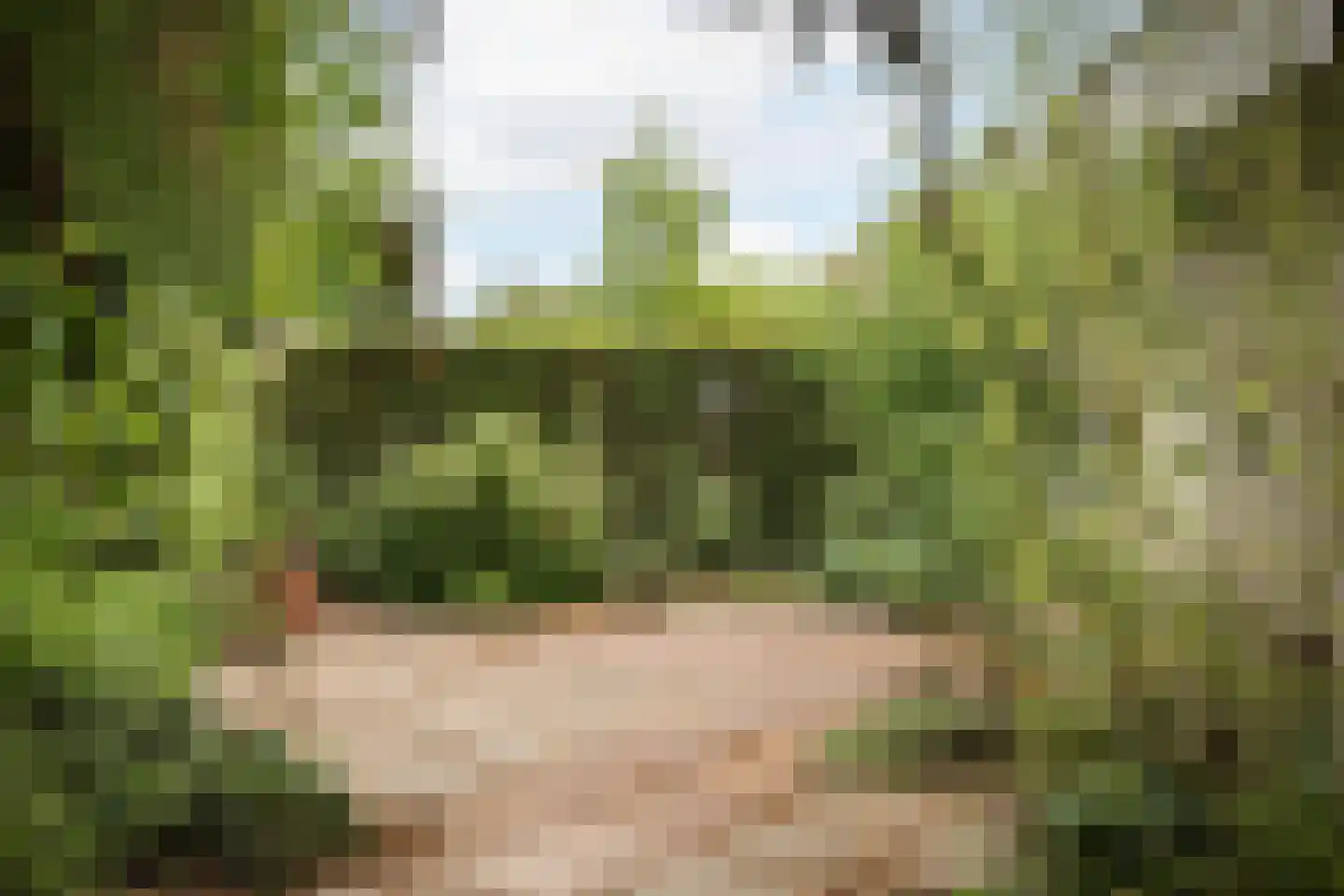 Vegerinkskamp 44 Bathmen thumbnail 30