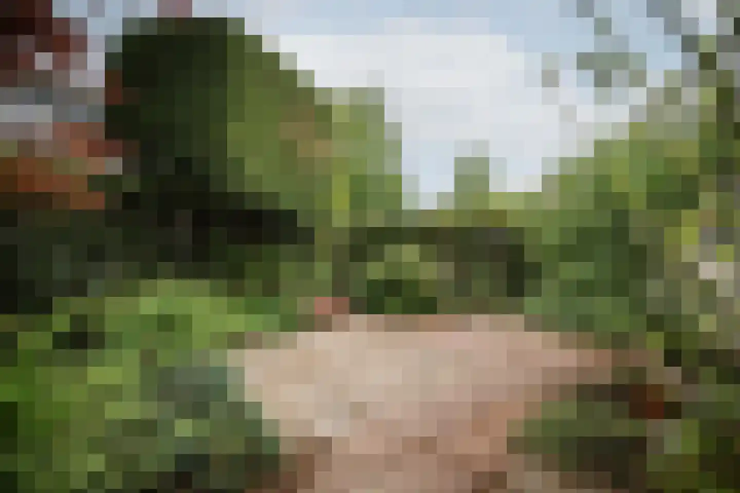 Vegerinkskamp 44 Bathmen thumbnail 31